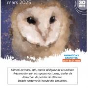 2025 nuit de la chouette