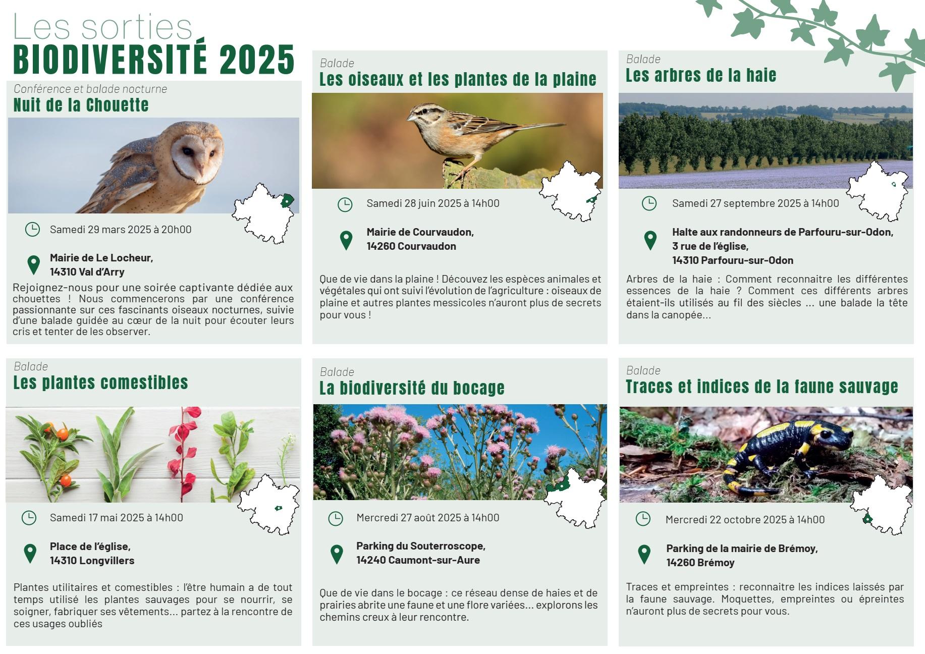 Les sorties biodiversite 2025 p2