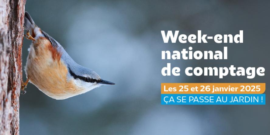 Lpo weekend comptage des oiseaux de jardin 25 26 janvier2025