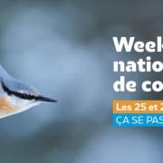 Lpo weekend comptage des oiseaux de jardin 25 26 janvier2025